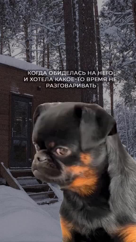 картинки на тему мои помыслы краски мои краски напевы. происхождение слова художник. картины художника борисова мусатова. художник сюрреалист алекс фишгойт. мои помыслы краски мои краски напевы.