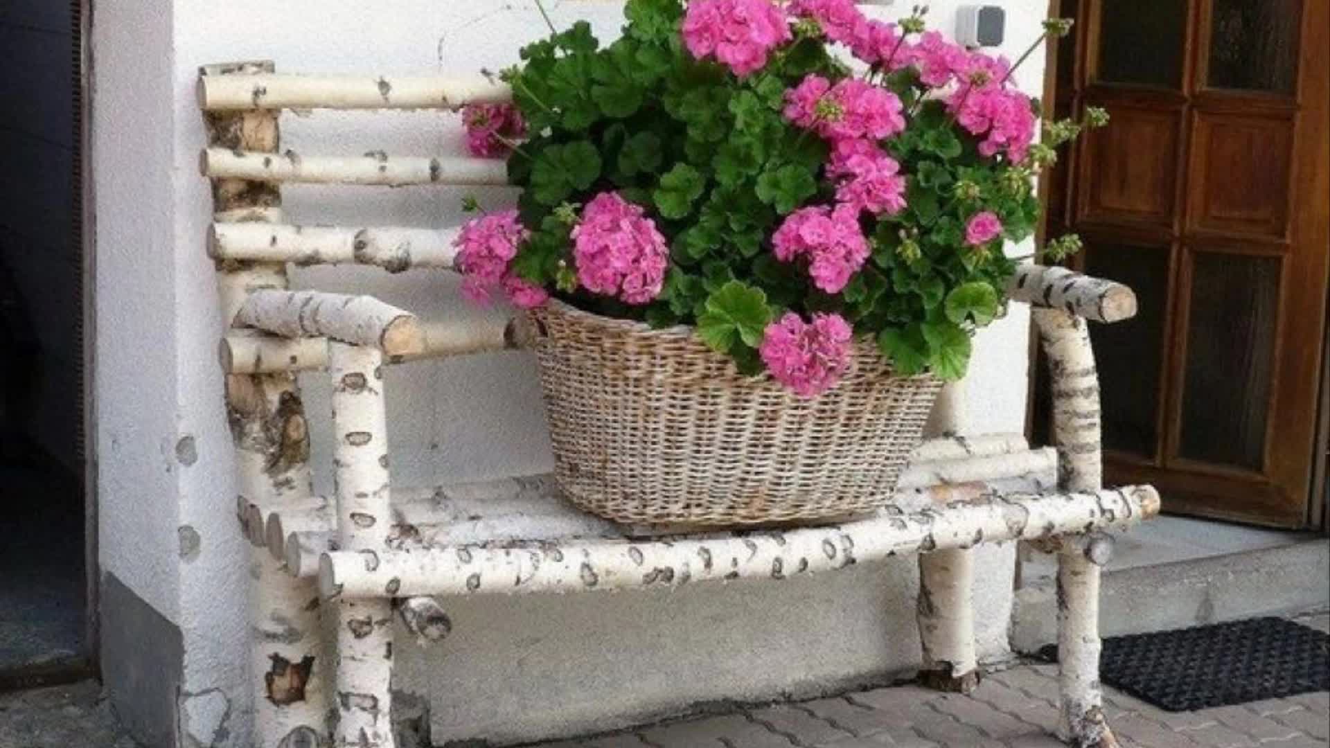 Клумбы с пеларгонией