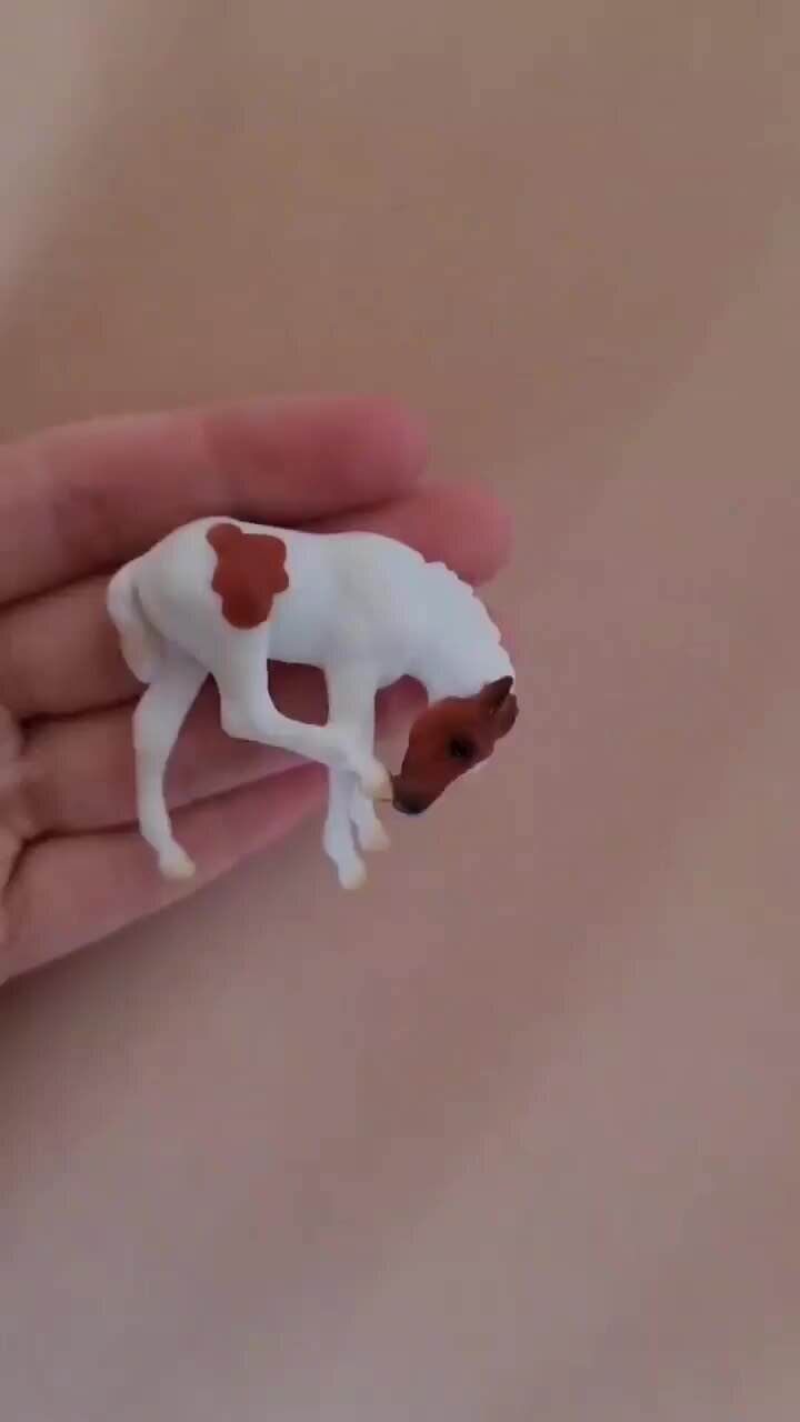 Кони на Ладони | Рисуем жеребёнка breyer | Дзен