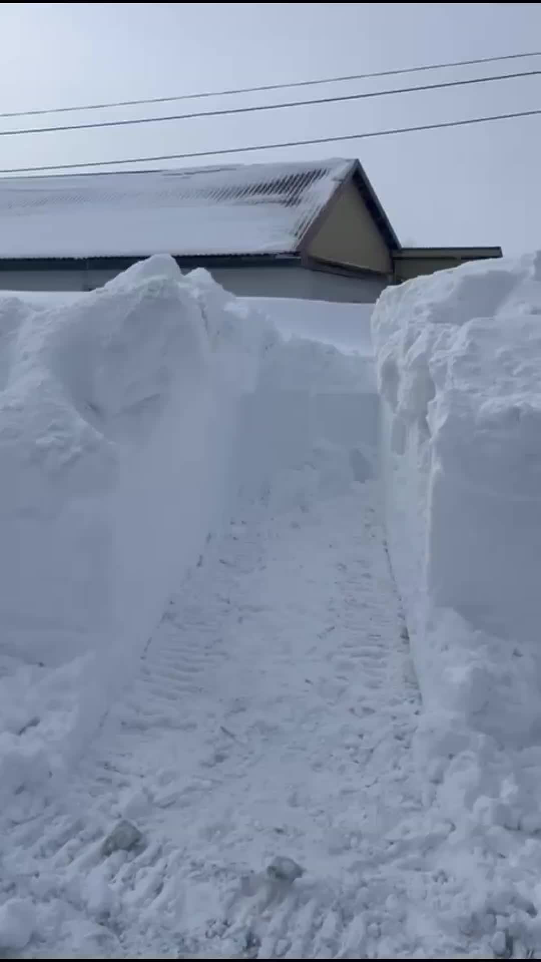 снежинка текст. макрофотографии снежинок. тающая снежинка песня. стишки на новый год про снежинки. новогодние снежинки тают текст.