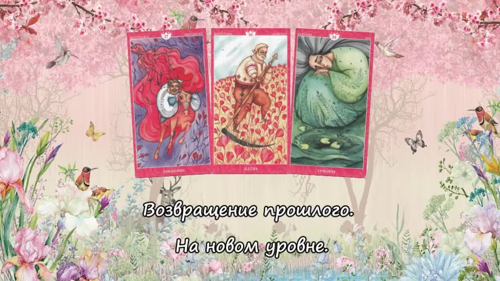 Сивиллин нуво оракул дзен