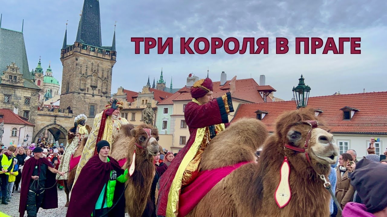 Ваш гид экскурсии