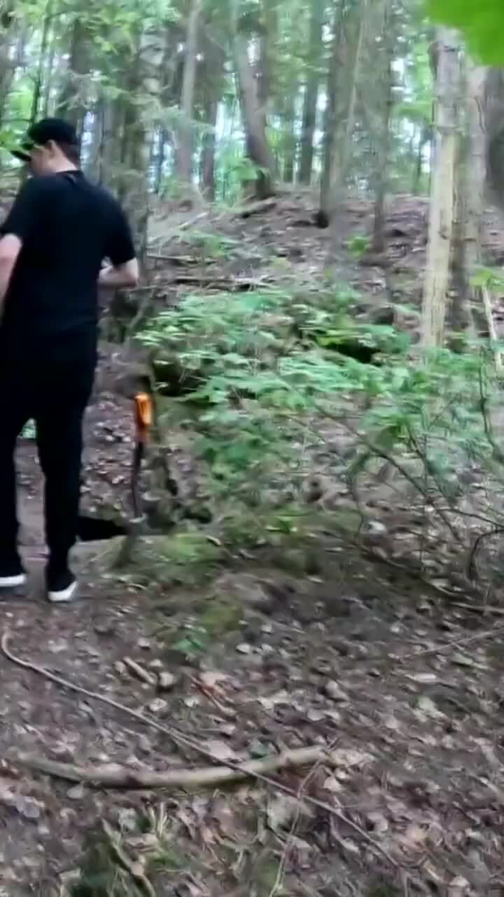 йети бигфут сасквоч леший. неопознанные объекты в лесу. снежный человек заснятый на камеру. странные существа в лесах. страшные вещи найденные в лесу.