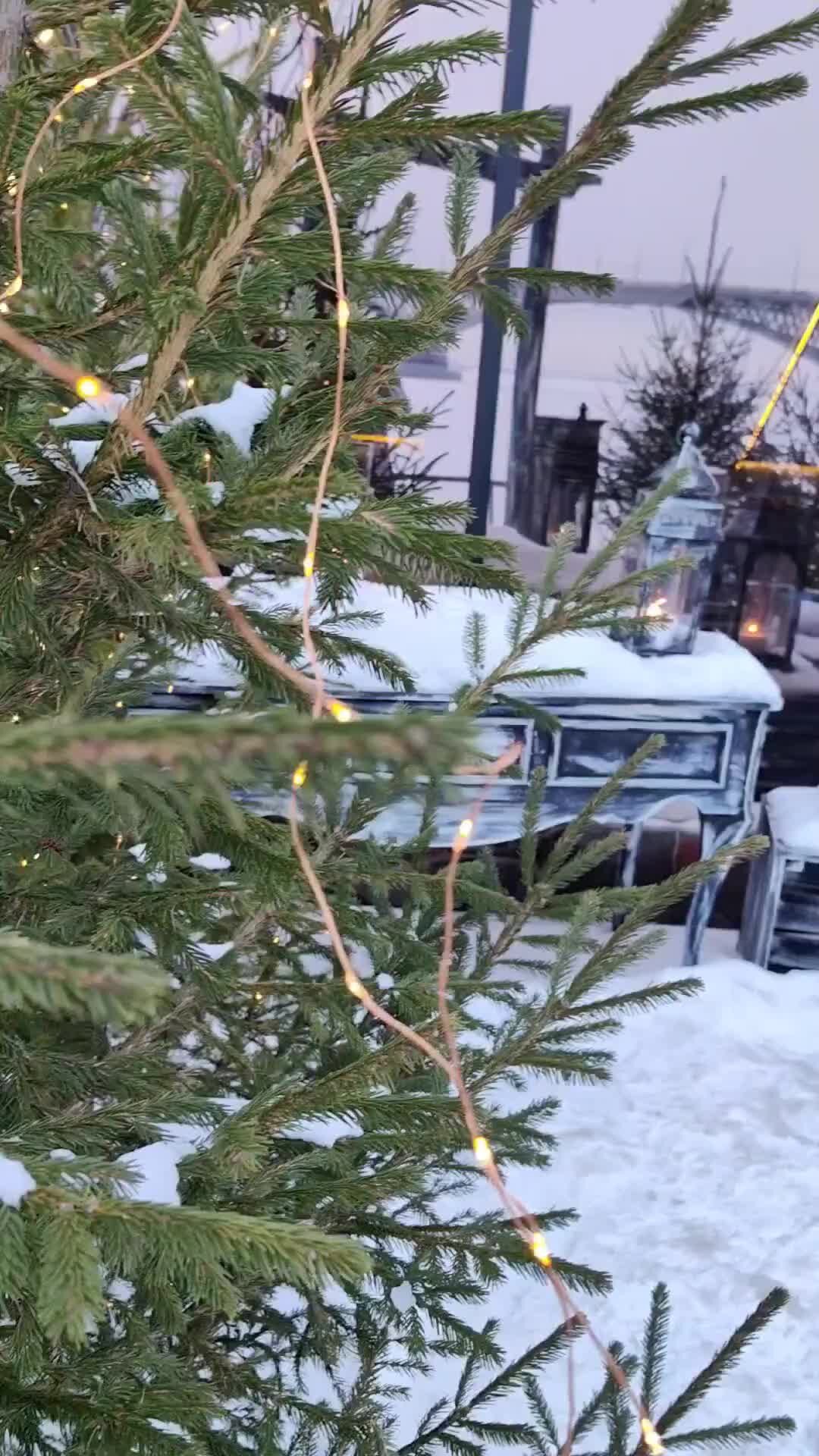 Махонин александр кредо. Савояры группа 1983. Песня кочую слушать. Песня кочую слушать. Рок группа кочевники.