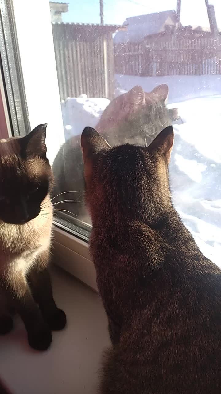 Цитаты про воздух. Песня мы ждем когда время придет. Время уходит цитаты. Время придет а оно только уходит. Время любви.