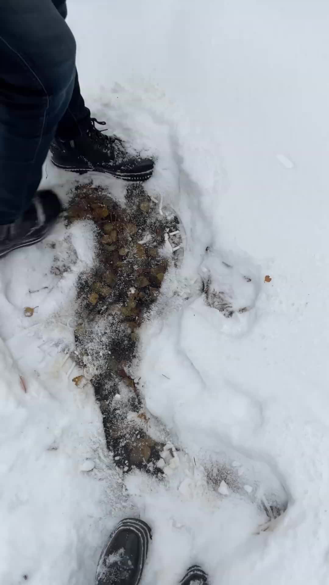 RAQNEDA | красиво нашли в глубь | Дзен