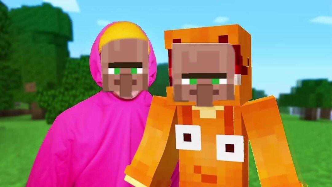 холи бам про котят