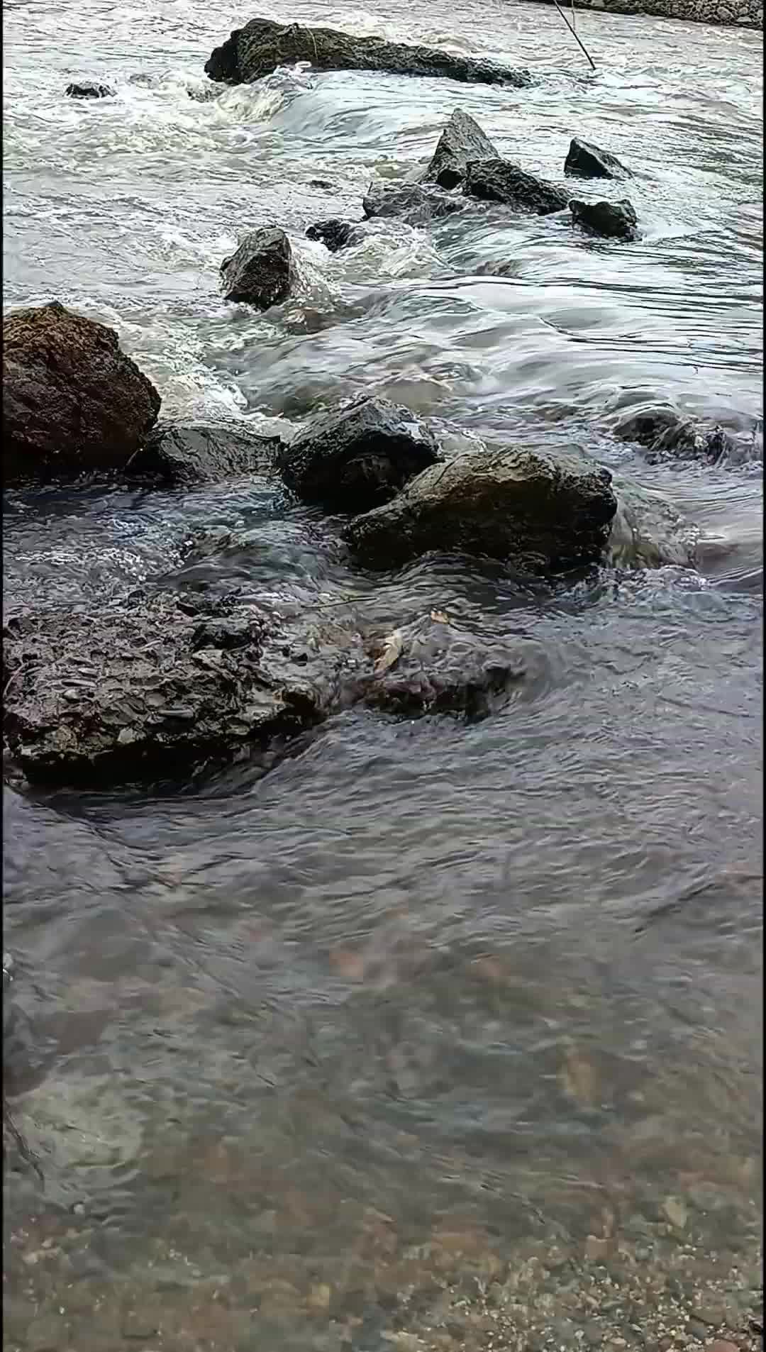 Волга кратко. Отличие реки от моря. Бассейн реки дунай на карте. Издалека волга. Самая длинная река в росси.