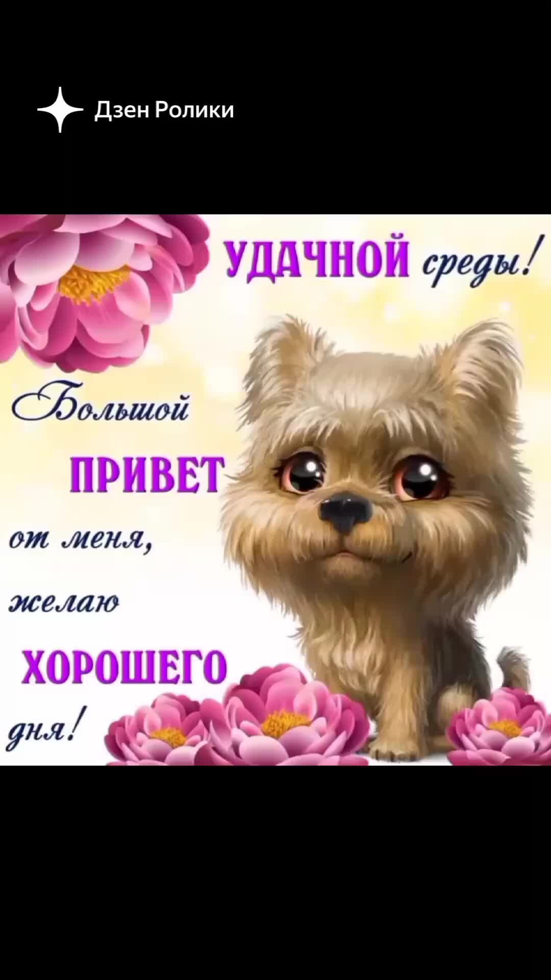 Привет красавица картинки