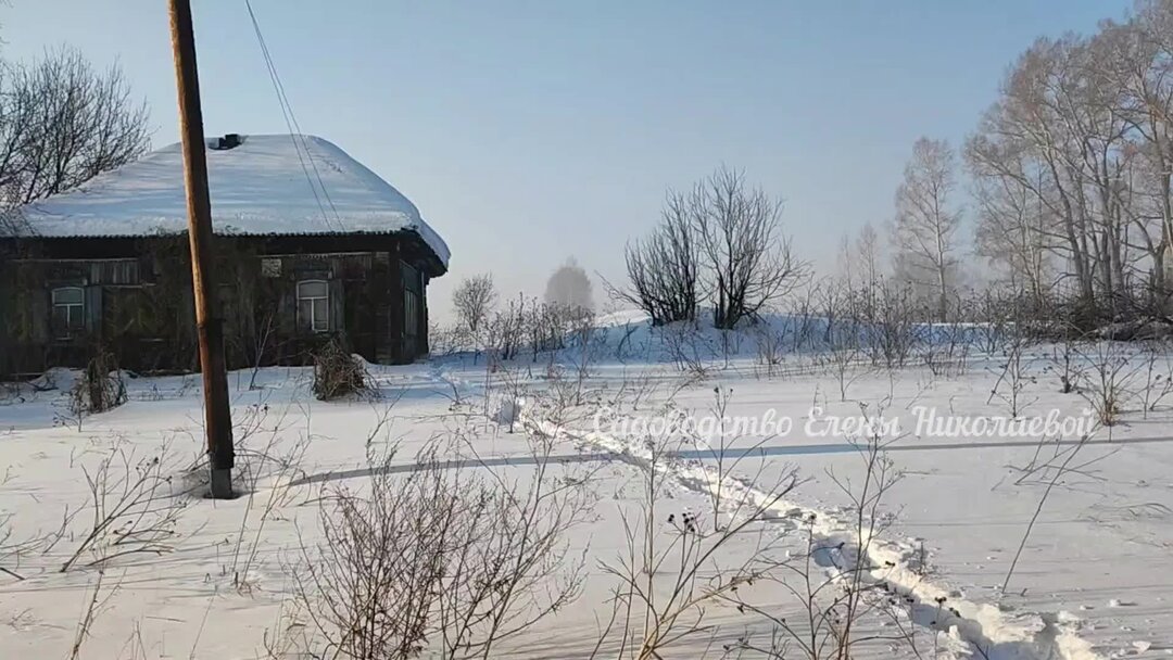 обустройство огорода. красивый огород. красивый огород. дачное общество. земля садоводство можно.