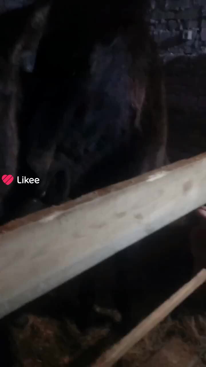 Хочу спокойную девушку. Девушка ждет. Хочу спокойную девушку. Влюбленные на берегу моря. Хочу спокойную девушку.