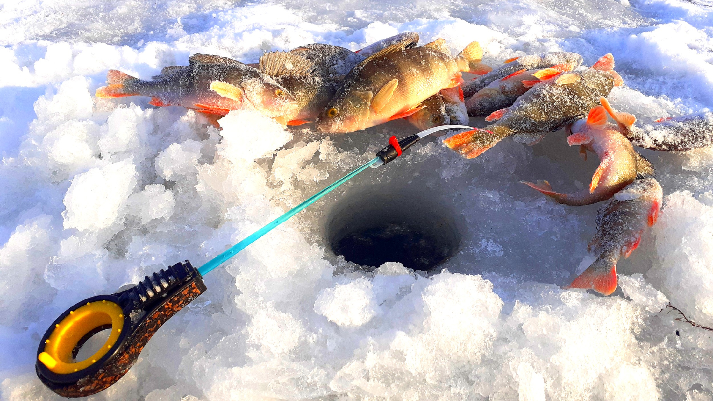 Глухозимье рыбалка. Видео бесплатная зимняя рыбалка. Рыбалка первый лед. Зимняя рыбалка фото. Зимняя рыбалка на севере.