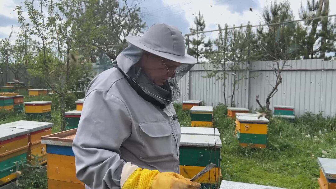 Дюкарев и сыновья все видео