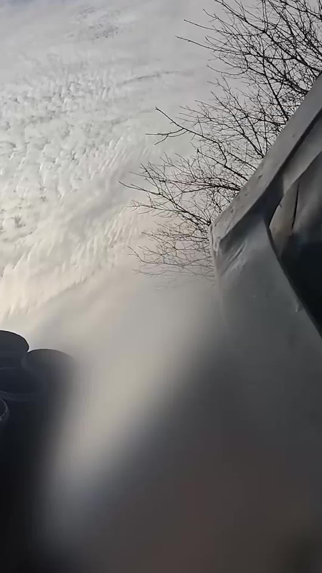 канопус звезда. сириус ярчайшая звезда ночного неба. плеяды созвездие невооруженным глазом. сколько звезд на небе не сосчитать. звезда с неба.