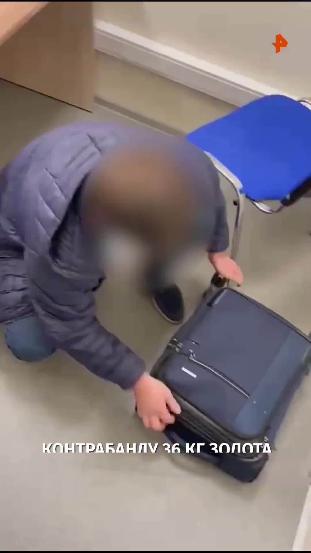 Встреча в аэропорту шереметьево. Пассажиры в аэропорту домодедово. Камилла валиева в аэропорту. Селезнева екатерина шереметьево безопасность. Встреча в аэропорту шереметьево.