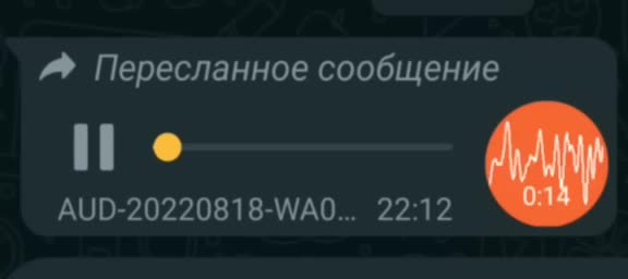 Аудио прикол. Аудио прикол