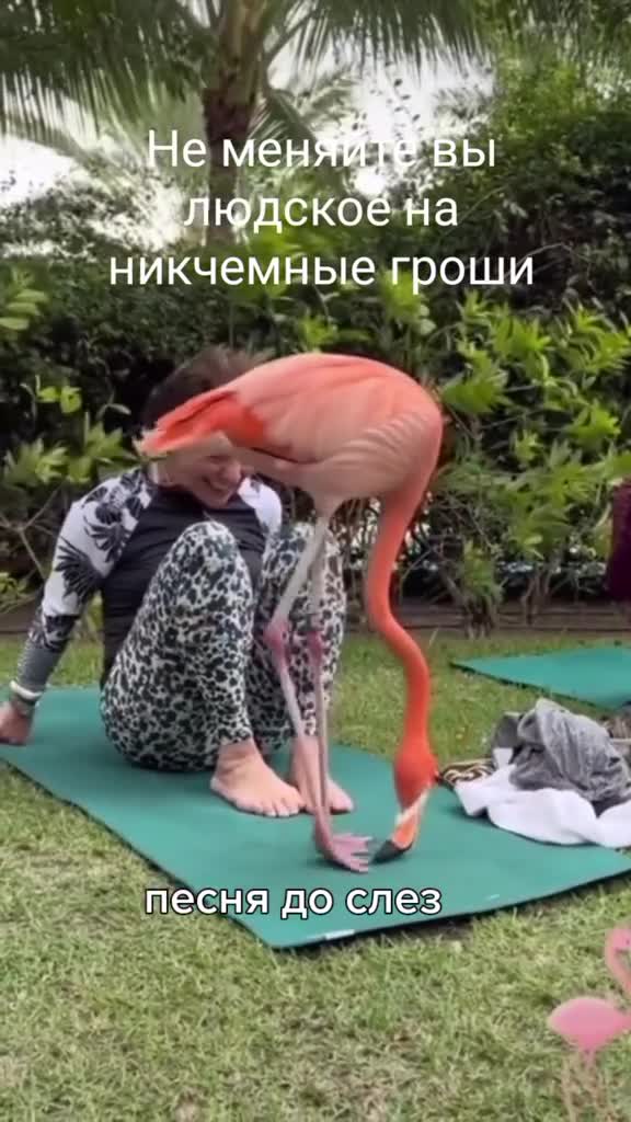 Песня не меняйте вы людское на никчемные. Песня не меняйте вы людское на никчемные. Песня не меняйте вы людское на никчемные. Песня не меняйте вы людское на никчемные. Песня не меняйте вы людское на никчемные.
