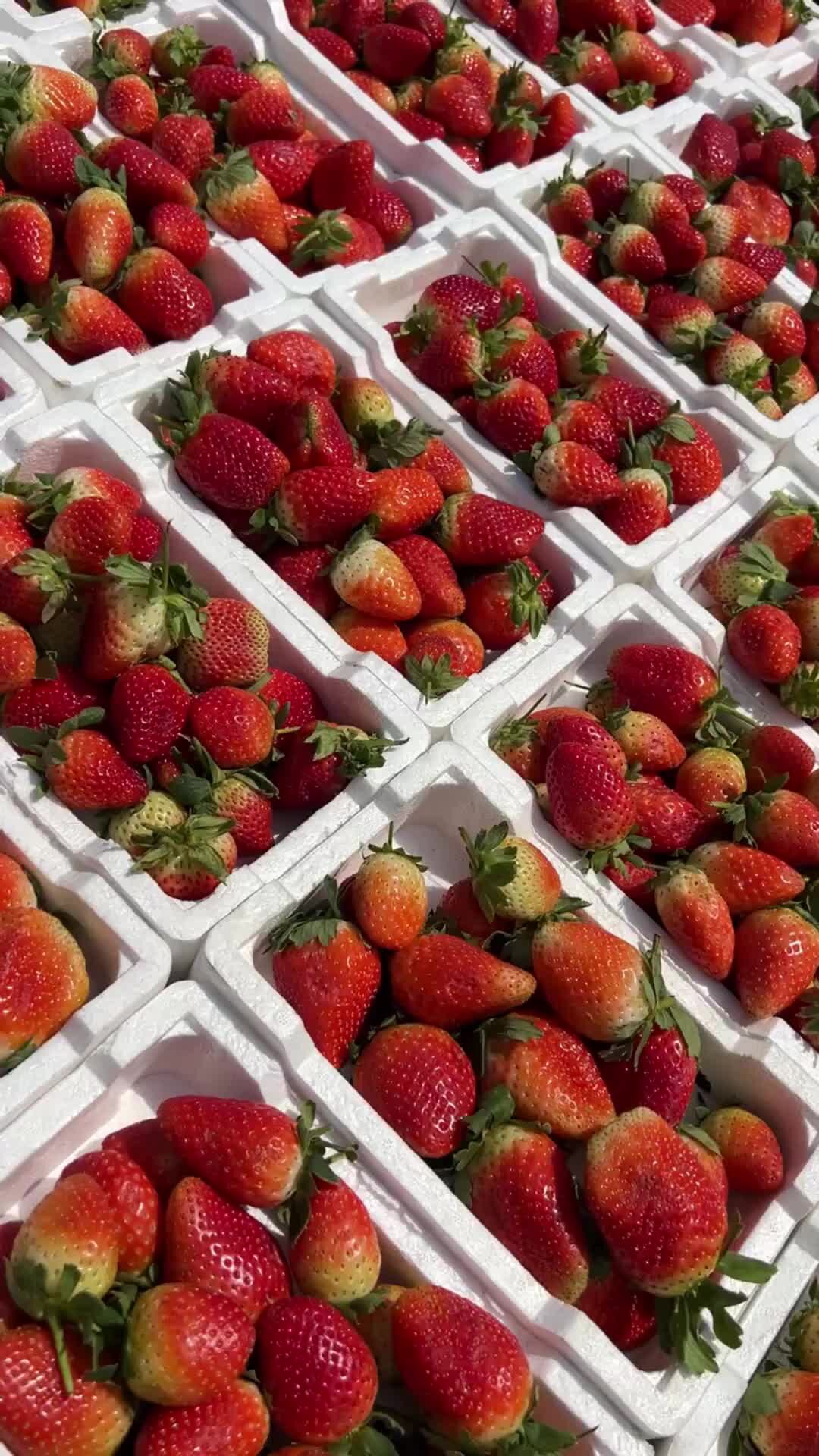 Демотиваторы жизненные со смыслом. Жизнь проходит мимо. Жизнь прошла мимо. Как быстро проходит жизнь. Путник живопись.