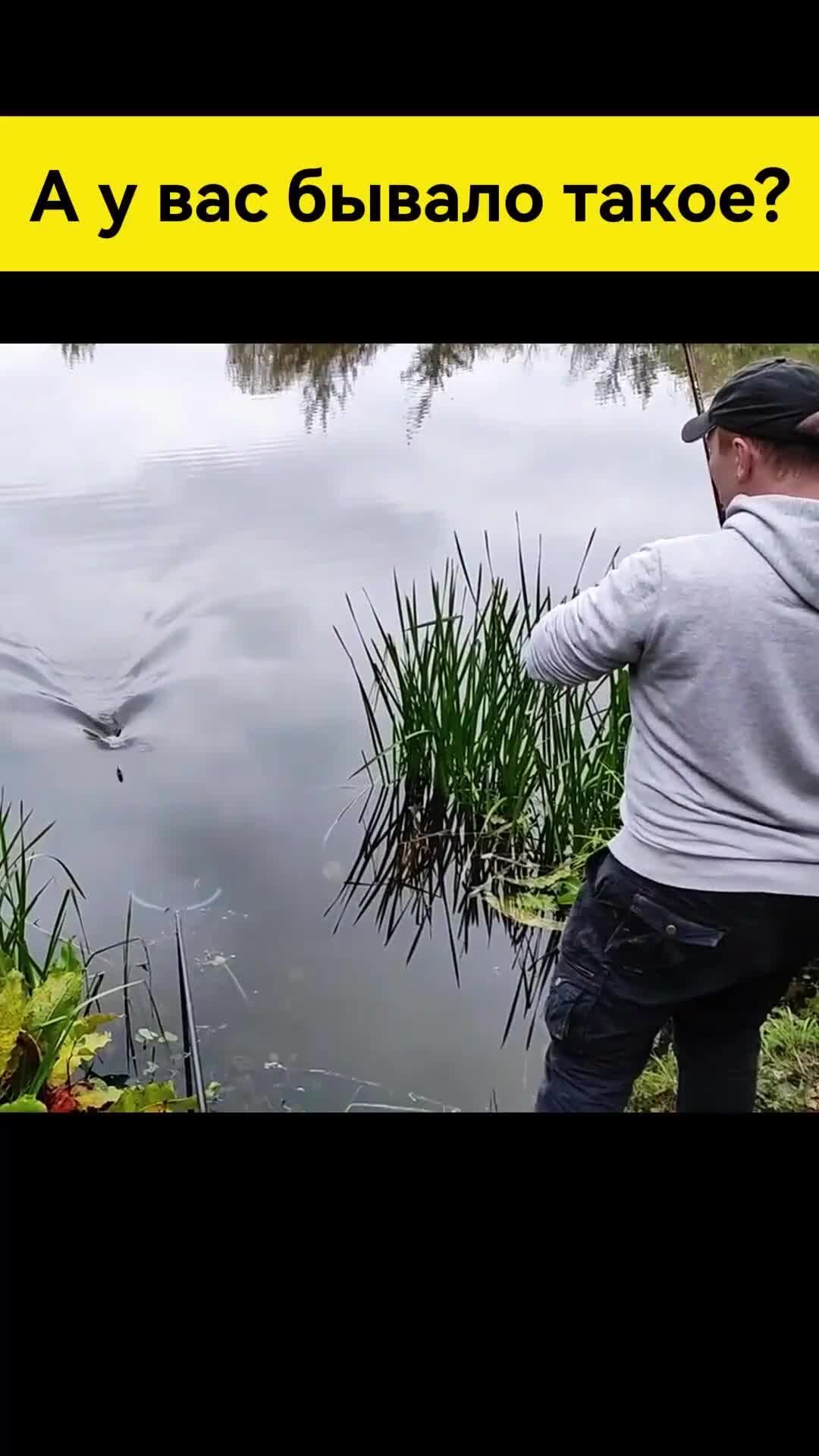 Случай на рыбалке | albatrostag.ru
