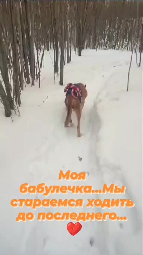 разряды прилагательных упражнения 6. памятник стойкому оловянному солдатику. математические задачи в литературных произведениях. почему оловянный солдатик. разряды прилагательных упражнения.