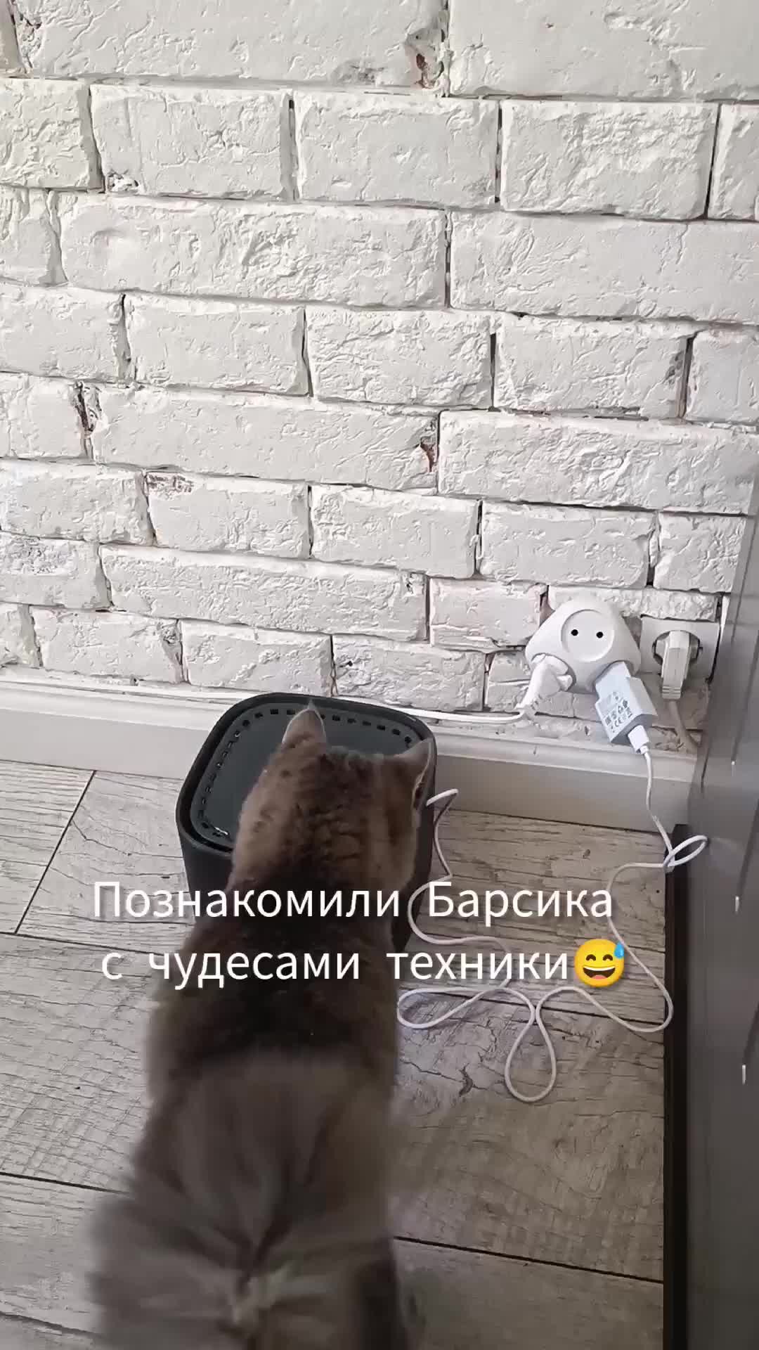 Дом необычных вещей дзен