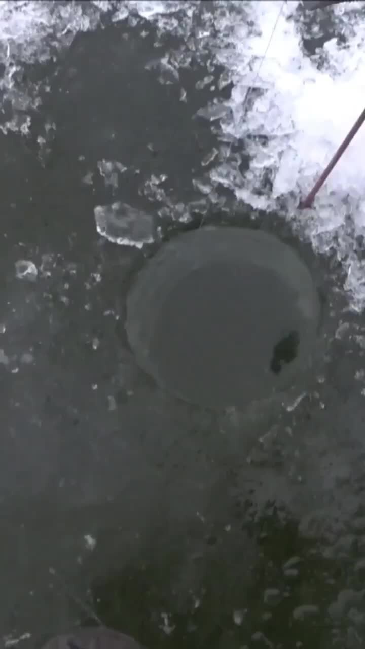 Леска berkley, 8 lb, 100 м. 12 125m. 18 шт. Леска killer 3d. Песня лески.