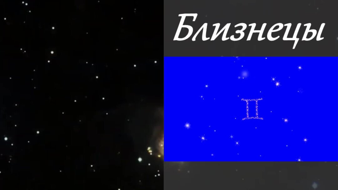 знак зодиака тигр. весы в год тигра женщина характеристика. тигр гороскоп. близнецы тигр женщина. дракон близнецы женщина.
