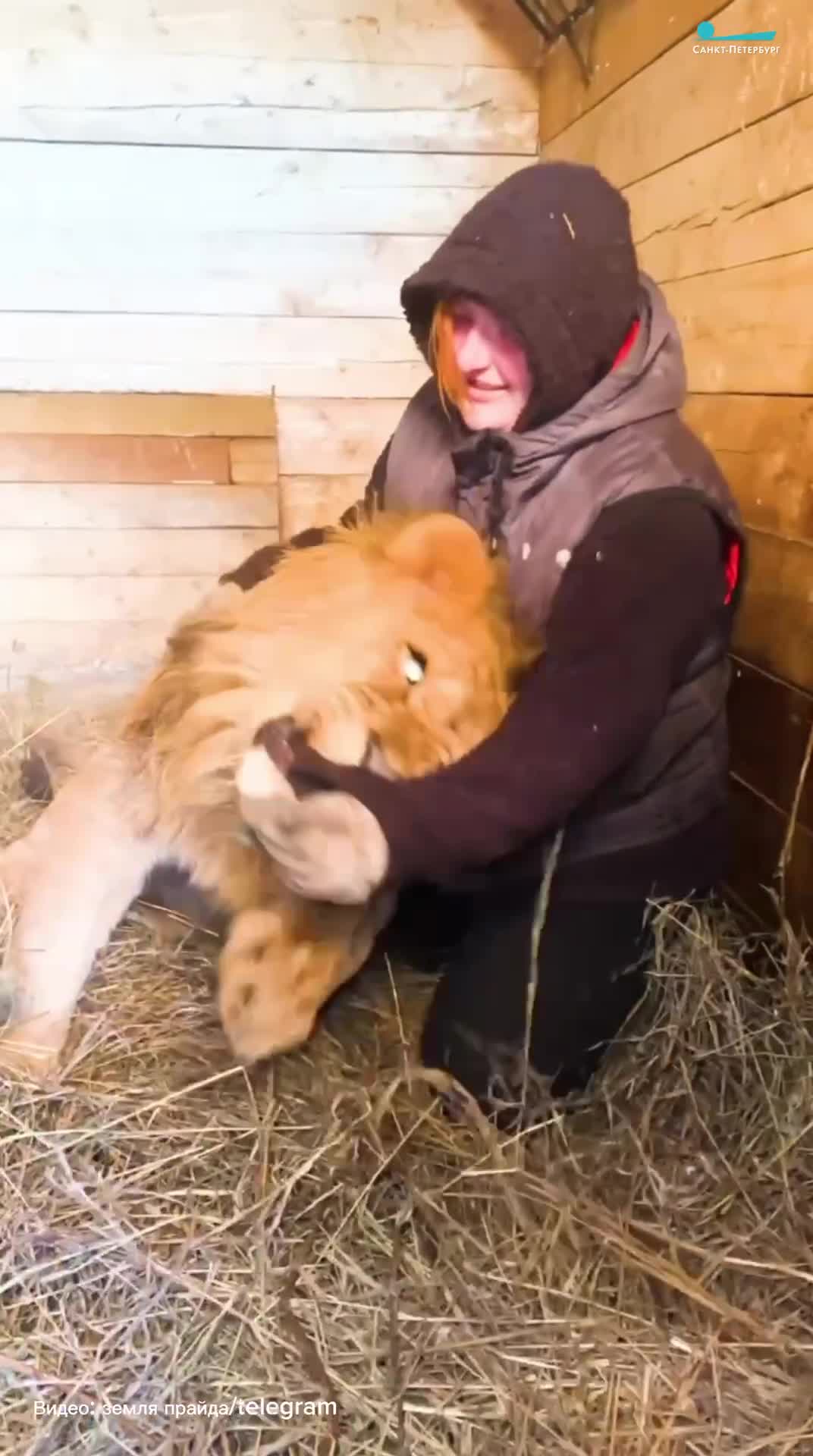 Центр любви в человеке