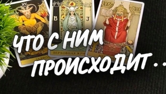 Судьба решила иначе. Судьба решила иначе