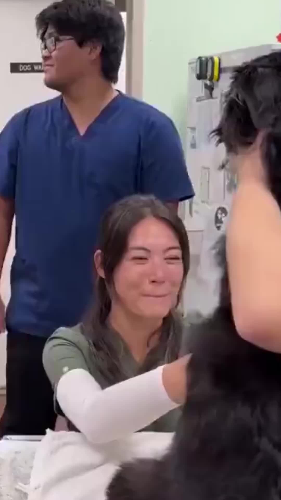 Makenewser | Собаку отвлекают ТАНЦАМИ, чтобы взять АНАЛИЗЫ | Дзен