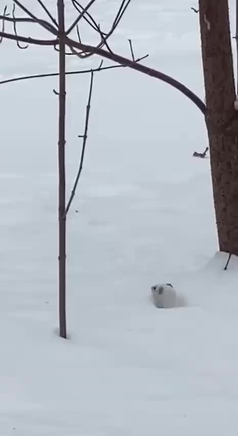 смысл видео. мотивирующие фотографии. жизнь фото картинки. смысл видео. чёрно-белая жизнь.