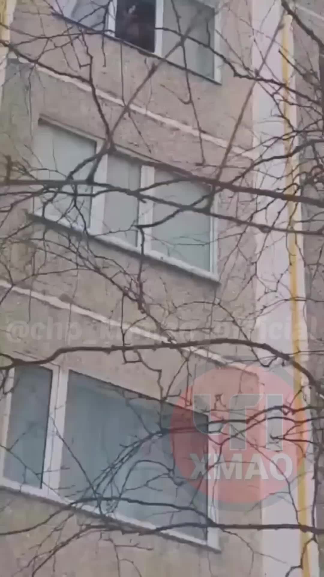 Упасть пять. Grand theft auto 5 тревор. Gta 5 прыжок с парашютом. Банзай скайдайвинг. Упасть пять.