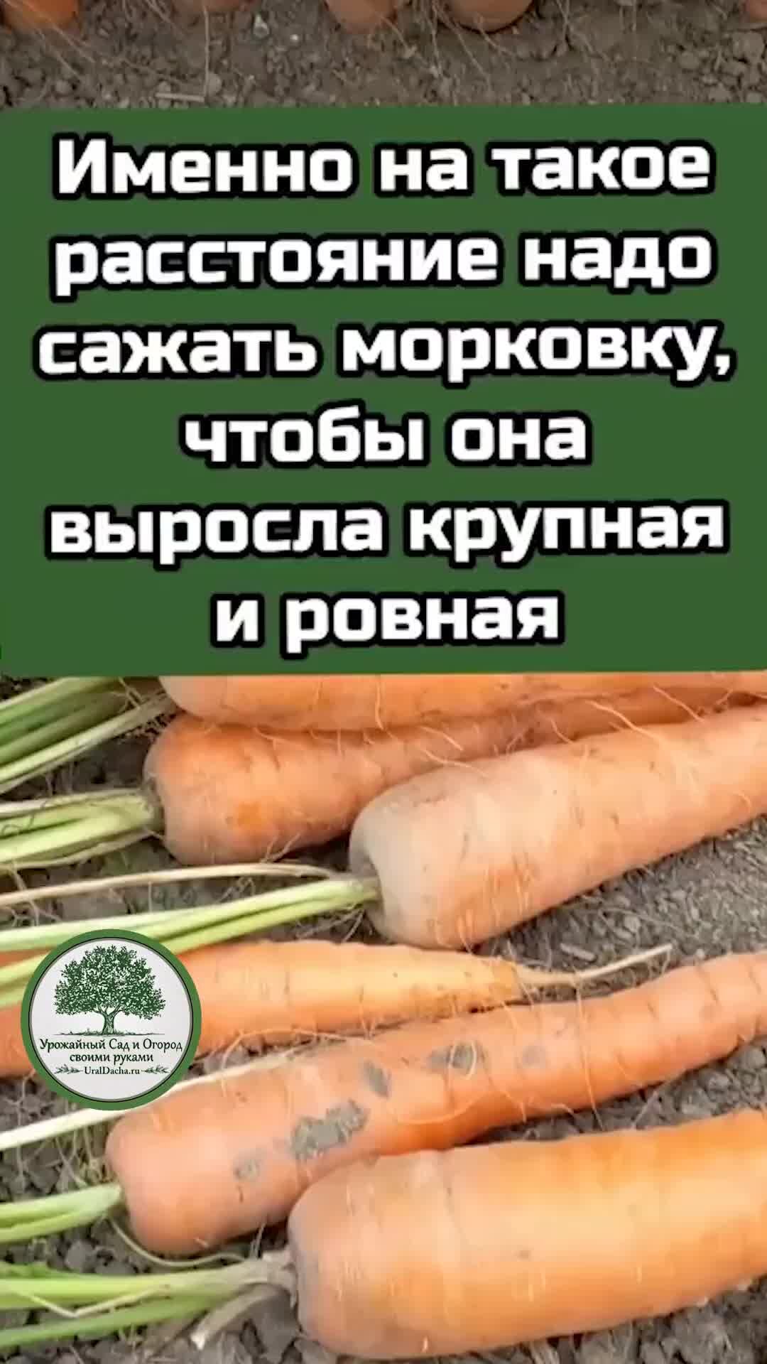 Плюсы и минусы технологии