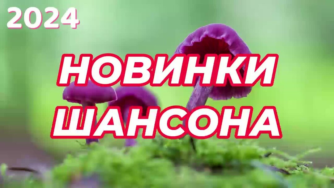 Слушать песню новинки шансона 2024. Шансон 2022. Хиты 2018 года. Шансон 2019. Стиль шансон.