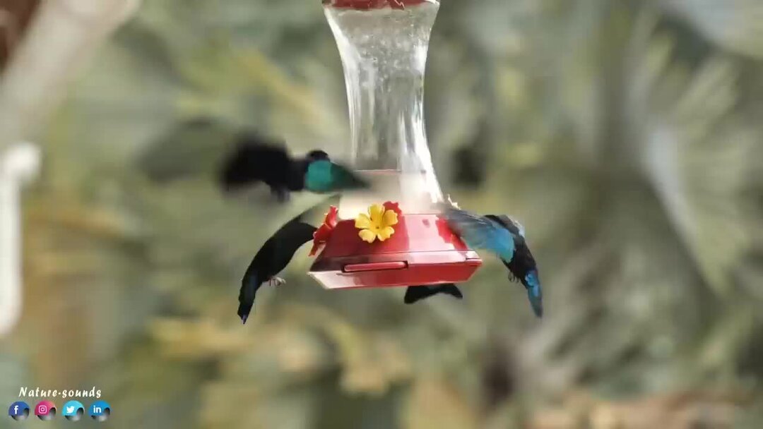 слушать самые красивые мелодии