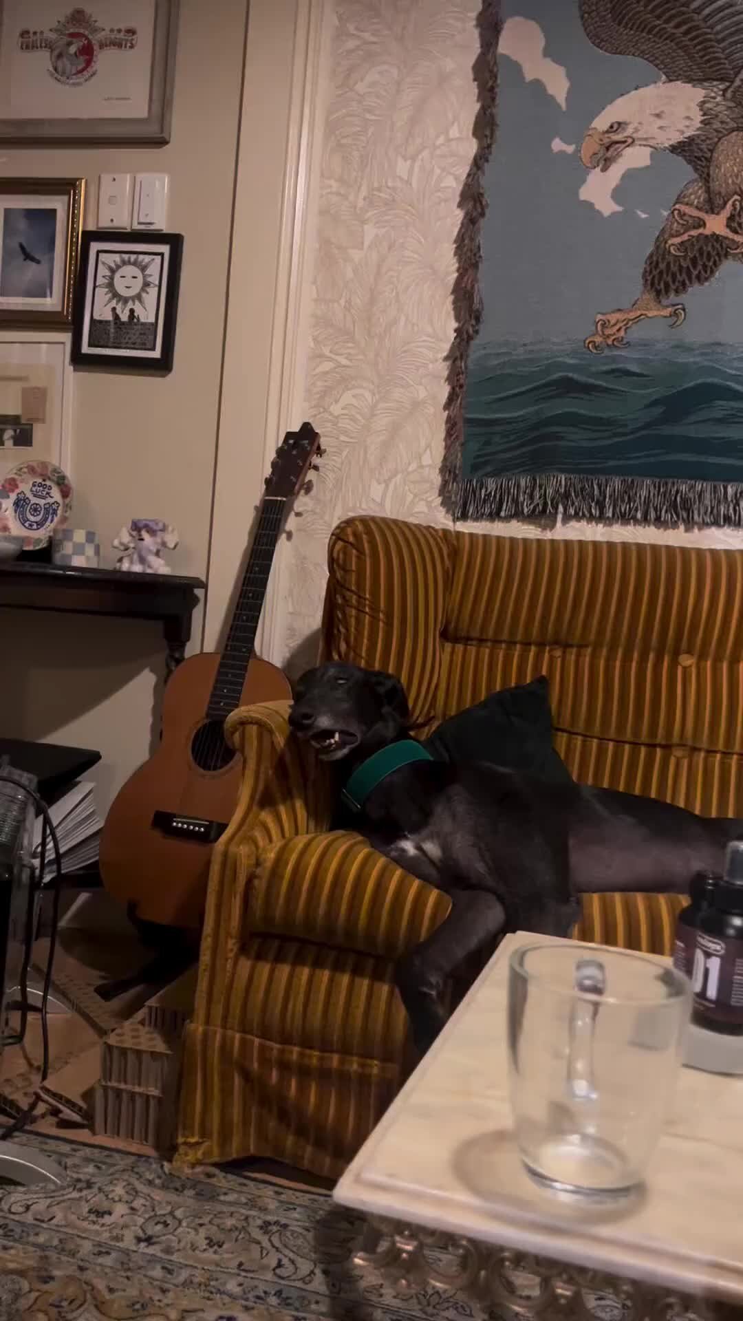 Холзи американская певица. Красота души. Inna alexandra stan. Alexandra stan. Александра стэн 2022.