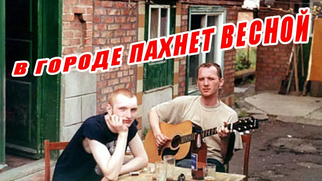 в городе запахло весной. в городе запахло весной. пахнет весной картинки. запахло весной. кот нюхает весну.