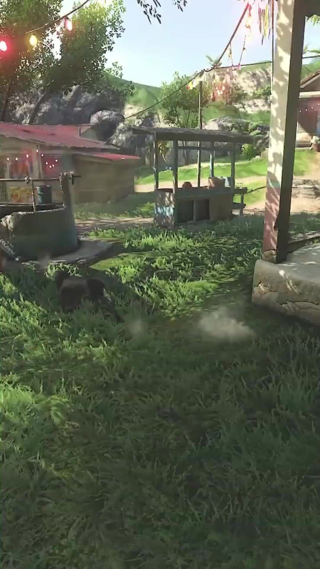 Ваас фар край. Остров вааса far cry 3. Фар край 3 4 5. Песня из фаркрая 3. Ваас монтенегро far cry 3.