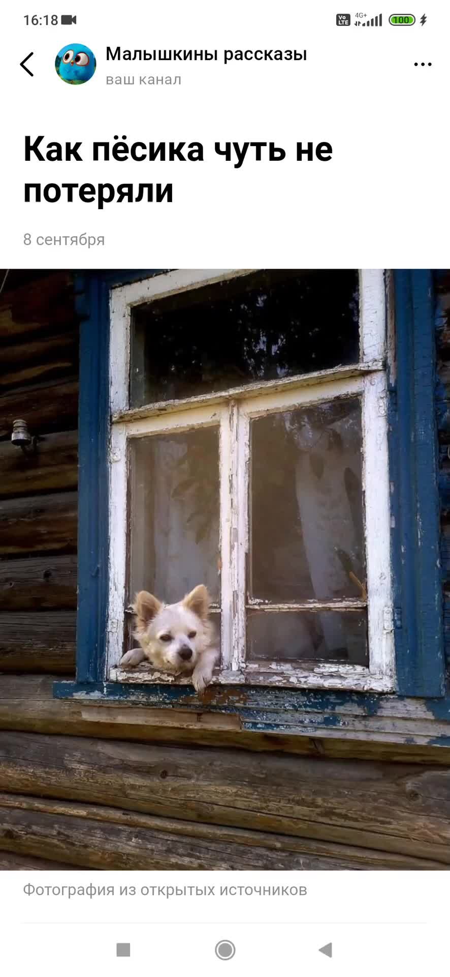 Посмотри в окно найди. Деревенские собаки. Выглядывает из окна. Собака выглядывает из окна. Собака в окне.