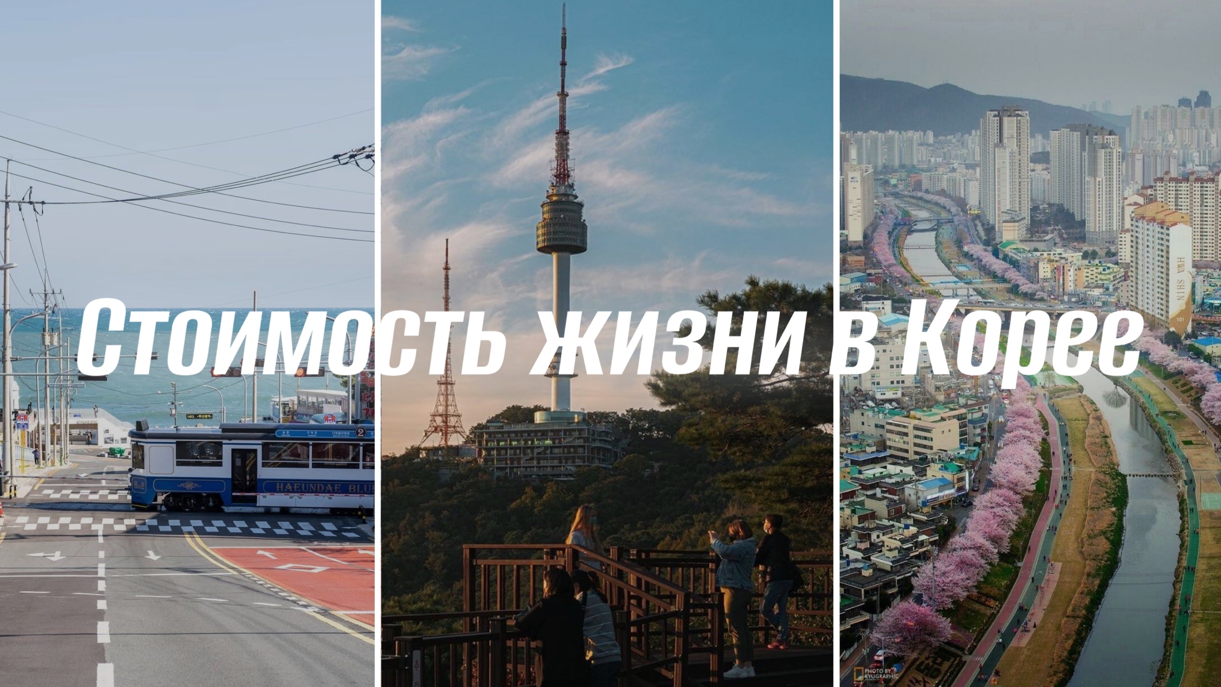 Сколько щас в сеуле. Сколько щас в сеуле. Корея сейчас. Корея сейчас в реальном времени. Чонгдам сеул.