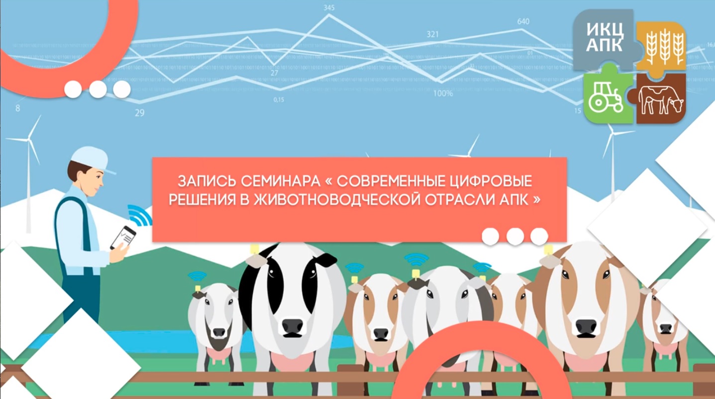 Ютуб апк. Животноводство 2021. Открытие скотоводства