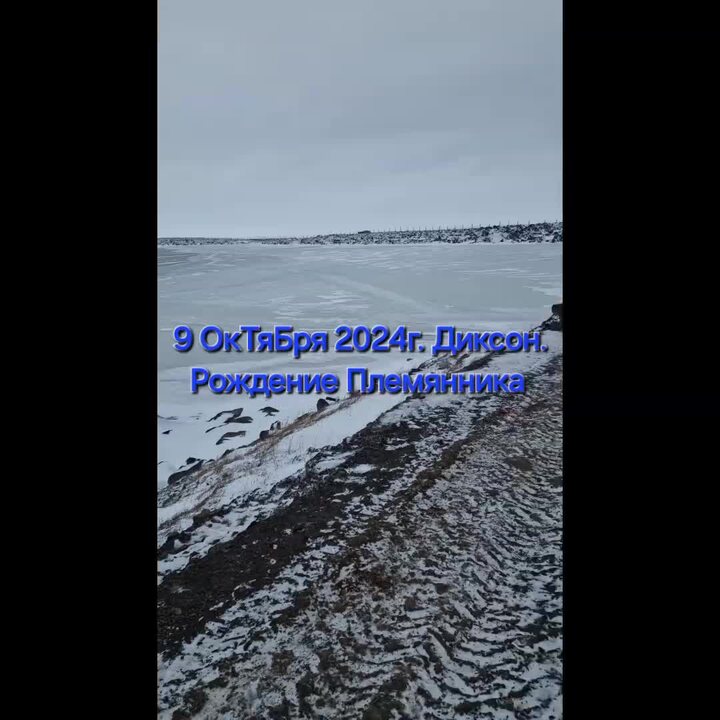Октябрь 2024г