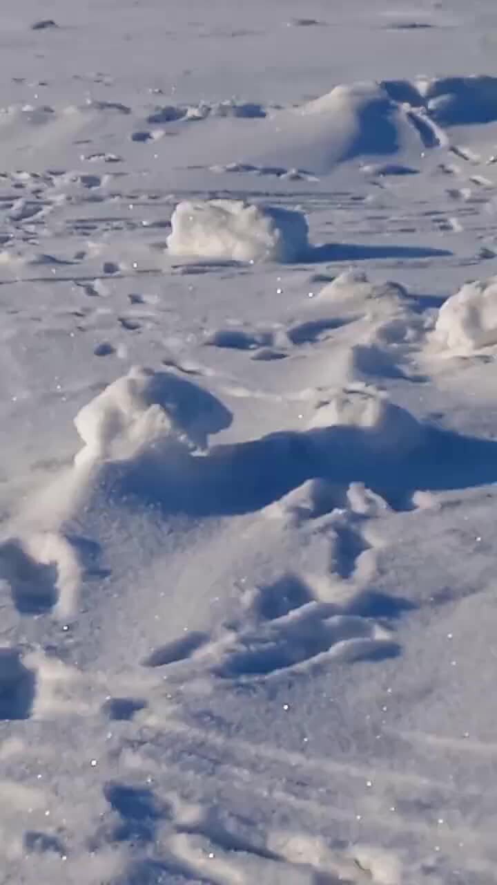 Аппарат холод 01. Холод 1. Аппарат для локальной гипотермии холод-01. Аппарат для локальной гипотермии холод-01. Криоджет с200 аппарат для криотерапии.
