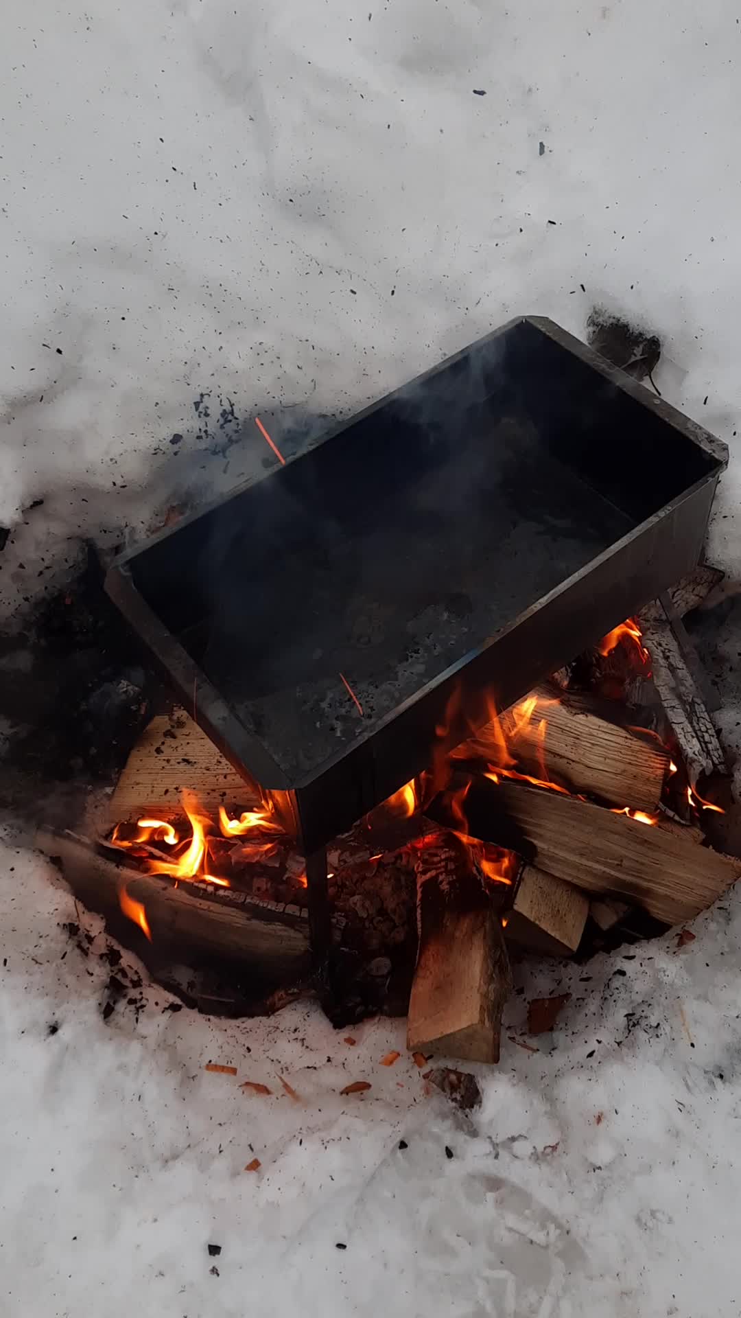 Копченая рыба на ольхе. Окунь травяник. Боганидский голец. Сайка полярная тресочка. Треска балтийская.
