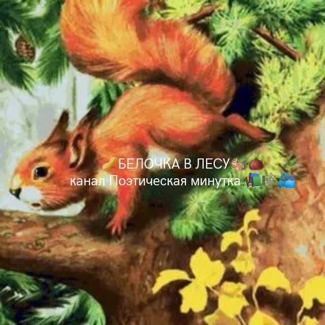 музыка для белочек в детском саду. музыка для белочек в детском саду. маленькое рондо гедике ноты. музыка для белочек в детском саду. маленькая рондо ноты.