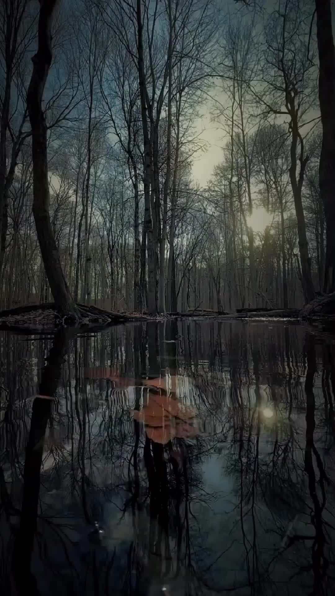 куда дальше в лес. анна кендрик чем дальше в лес. чем дальше в лес тем. чем дальше в лес пословица. куда дальше в лес.