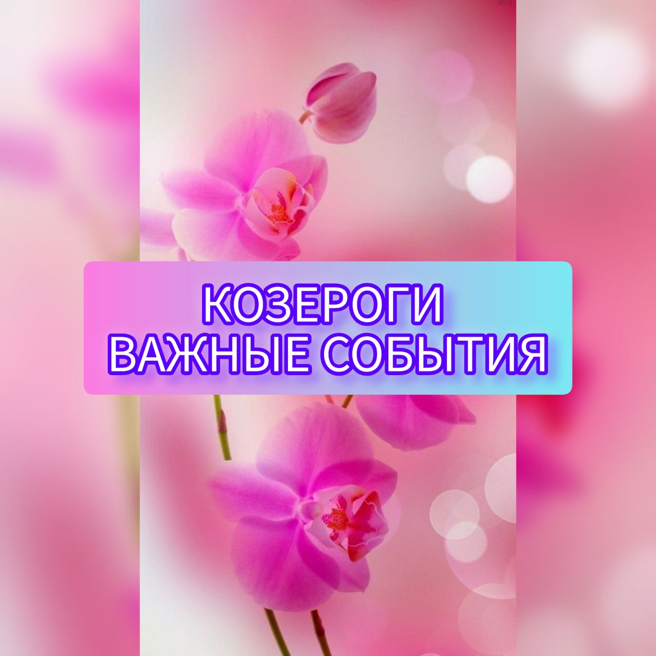 Ваш 1 вопрос