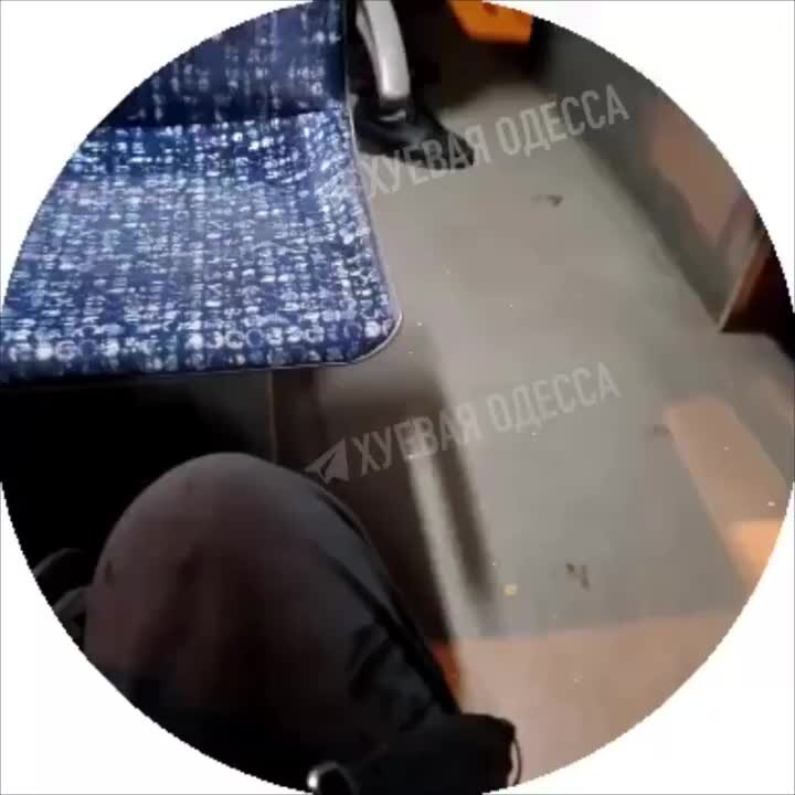 такие стихи. знаю ты забудешь меня тексты. текст песни я знаю ты далеко. вероника тушнова стихи. вольная а.