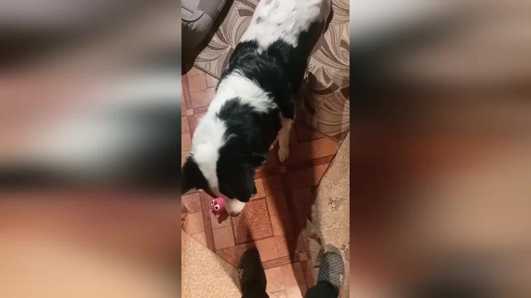 маленький мафиози. Shotgun boy манхва. мальчик с оружием. дети стреляют из ружья. мальчик с ружьем и милый дом.