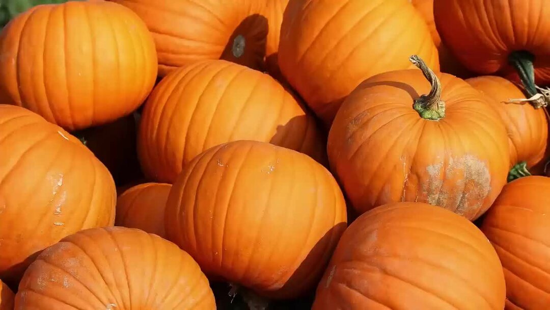 Тыква при аллергии можно. Сенная лихорадка перекрестная аллергия. Тыква при аллергии можно. Чем полезна тыква. Таблица гипоаллергенных продуктов.